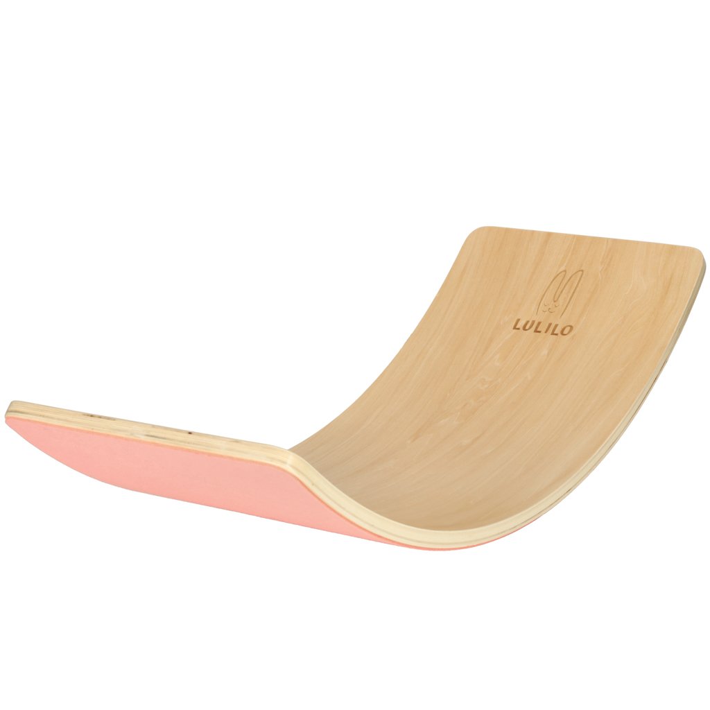 Dalis WLtoys 104009 valdymo plokštė