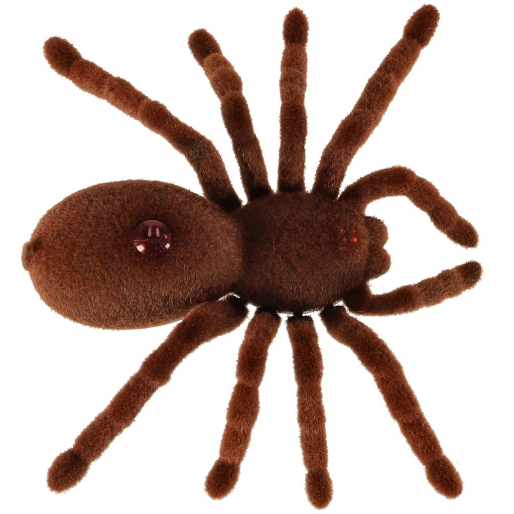 Pajak-TARANTULA-Zdalnie-Sterowany-robot-na-pilota-PILOT-147328 Nuotoliniu būdu valdomas TARANTULA voras + PILOTAS