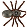 Pajak-TARANTULA-Zdalnie-Sterowany-robot-na-pilota-PILOT-147329 Nuotoliniu būdu valdomas TARANTULA voras + PILOTAS