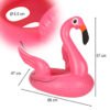 Pripučiamas vaikiškas pontono ratas flamingo