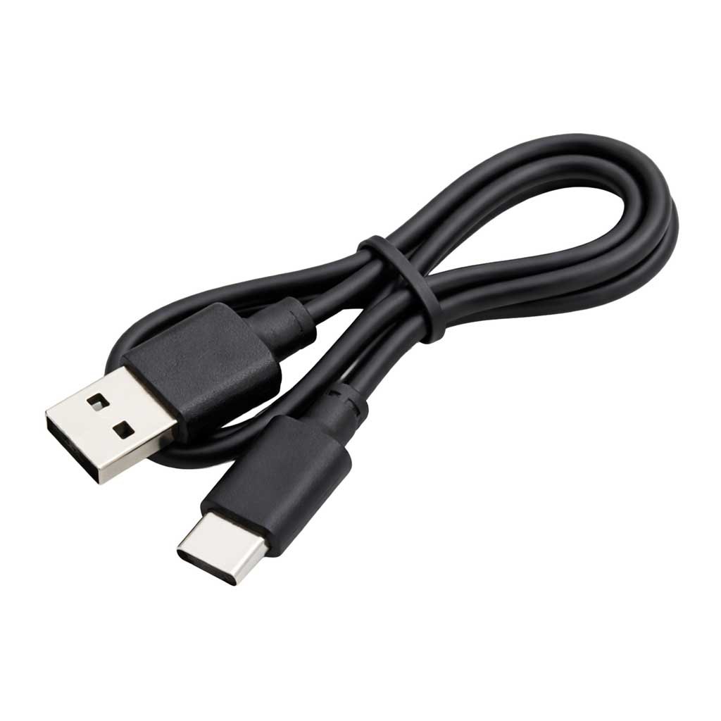 Karaokės rinkinys "Bluetooth" garsiakalbis LED RGB 2 mikrofonai USB